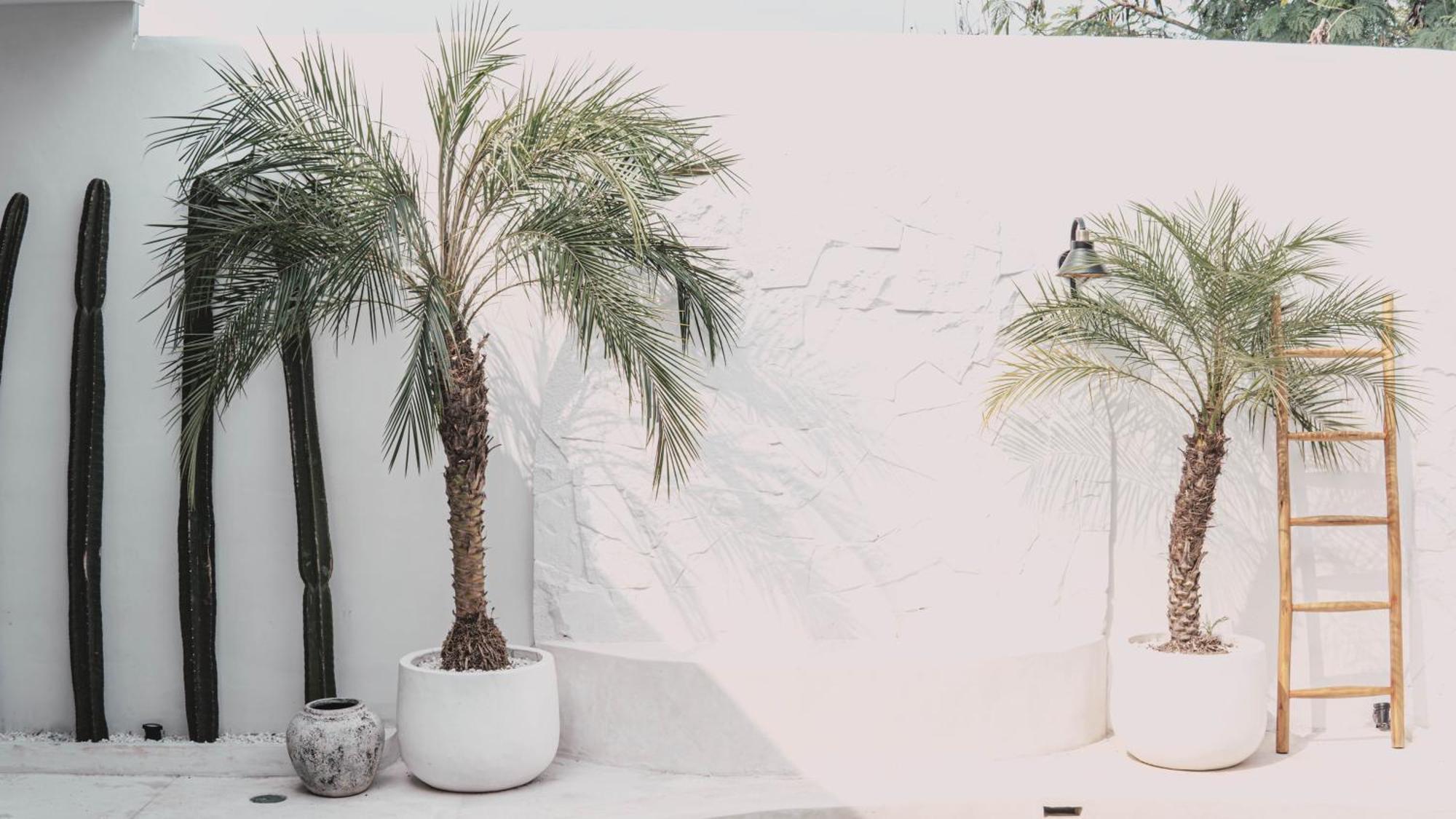 Bohemian Jogja Villas With Private Pool Kejayan Bagian luar foto